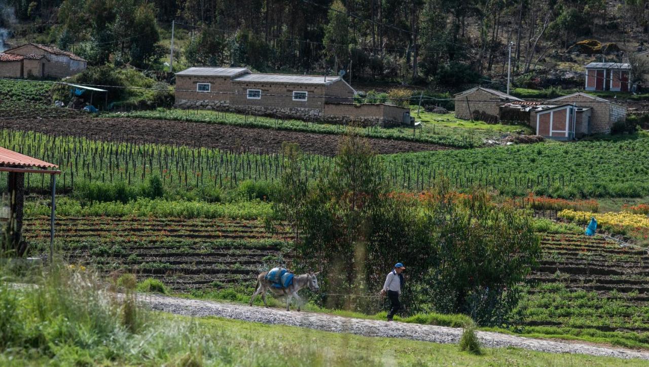 Tullpa Rumy Yungay Exterior photo